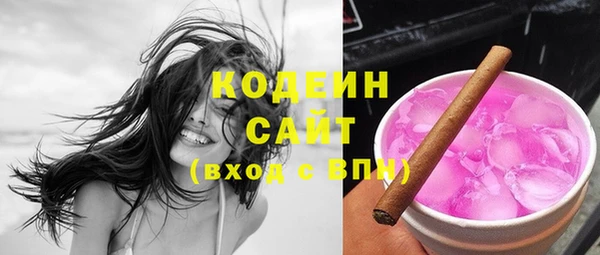 индика Нягань