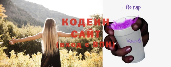 индика Нягань