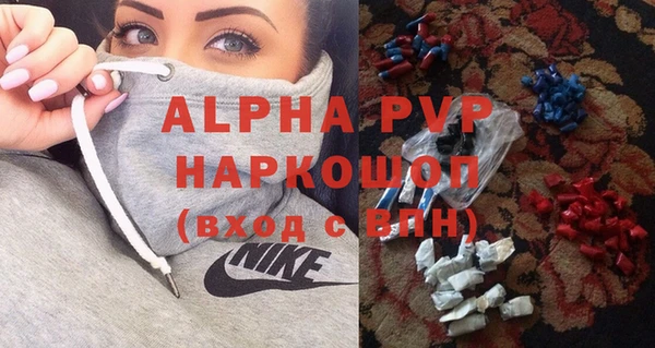 индика Нягань