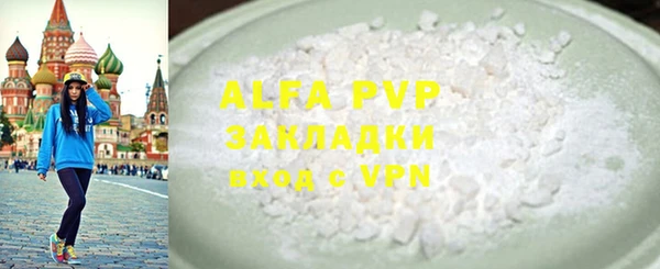 индика Нягань