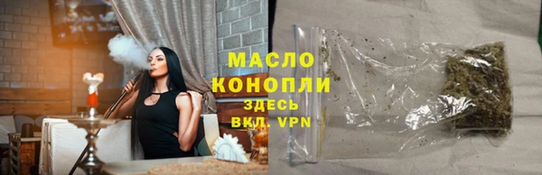 индика Нягань