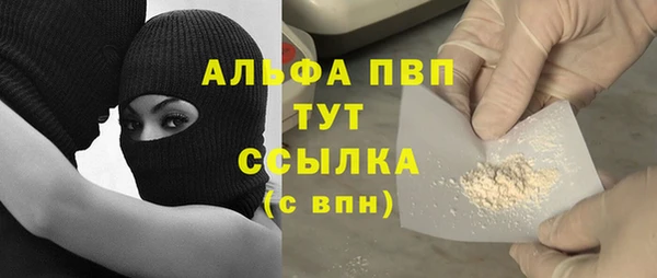 spice Няндома