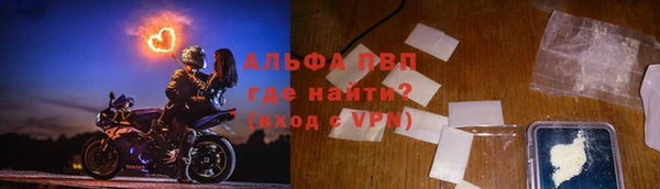 индика Нягань