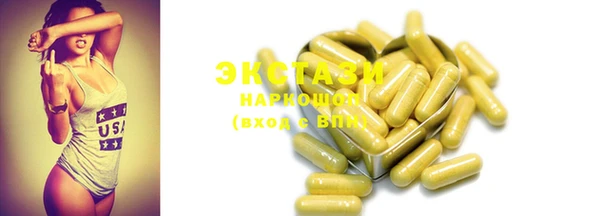 индика Нягань