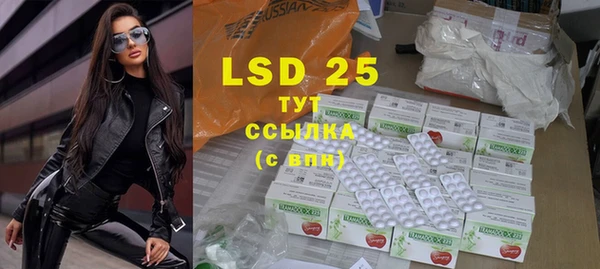 индика Нягань