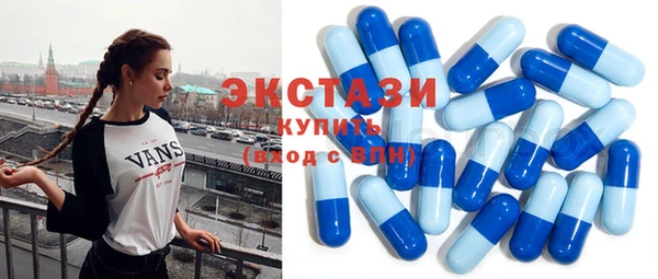 индика Нягань
