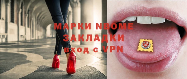 индика Нягань