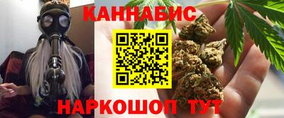 мдпв Гусев