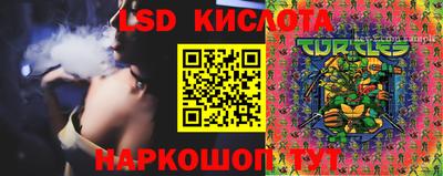 мдпв Гусев