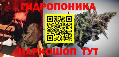 мдпв Гусев