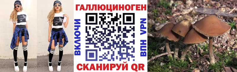 Псилоцибиновые грибы Magic Shrooms  Кириши 