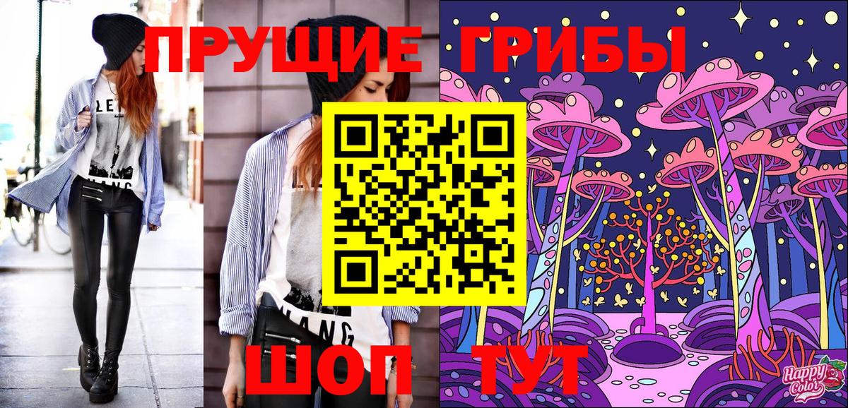 Псилоцибиновые грибы Psilocybe Кириши