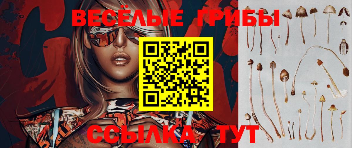 Галлюциногенные грибы прущие грибы  Кириши 